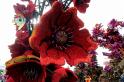 Bloemencorso 2015-09-10 018